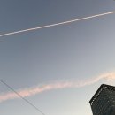 팔봉이 왕짬뽕 이미지