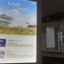 하늘샘농장 | 부모님과 정선여행 : 하이원호텔 마운틴탑 관광곤돌라 강추!