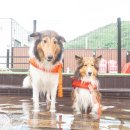 태담이네 하우스 이미지