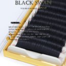 블랙스완래쉬 이미지