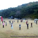 광교세무법인 Daum카페