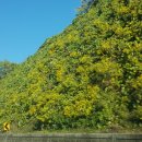 예미 경로당 이미지