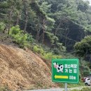 세종 아기랑 정동체험마을 농장 카페까지 있어!