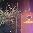 드라이브 인 호텔 문(MOON) | [진해 제덕] 드라이브 코스 추천 🚗☕ 인더문 재방문 후기, 초코바게트,버터떡,밤식빵최고🍫🥖