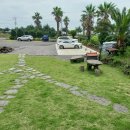 바로올레 이미지