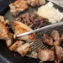 맛좋돼지 이미지