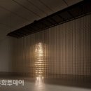 랜덤파라다이스 이미지