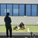 양산독케어2 이미지