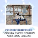 산책하며 입기 좋은 업사이클 강아지패딩 보호자 경량패딩 페티앤 버디 베스트 커플룩
