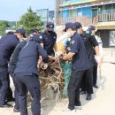 울진해양경찰서 후포파출소 이미지