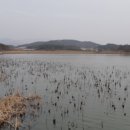 신안소류지 이미지