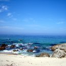 동해바다 이미지