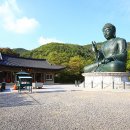 태조산 이미지