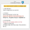 조이파티 이미지