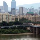 강남-238 이미지