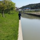 증산 태양광발전소 이미지