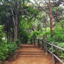 봉제산 담소터 화장실 이미지