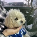 구름이 그린 달빛 이미지