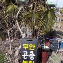 무안곤충농장 이미지