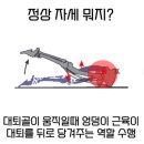 전방프라자 | [골반찝힘, 고관절소리]대퇴골전방활주 원인과 좋은운동 1:1pt 후기