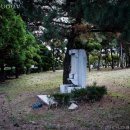 지금은 동(東)의  이미지