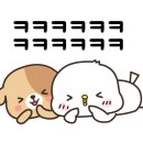 채널 트웰브 이미지