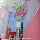 헤바헤어 - 군산시 | [홍대] 가볼만한 곳 헤바라운지 홍대올리브영팝업 헤어바디 패키지 무료증정 주관적인 후기