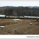 삼아농장 이미지