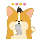 애니수지