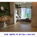 대명자전거 이미지