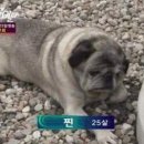 카페슬 네이버블로그