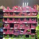 마트 추천템 (percy pig 젤리+a), 노팅힐 거리, 어니스트 버거, MASION BERTAUX 스콘, 소호거리, 카페추천
