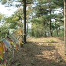 큰고개목장 이미지