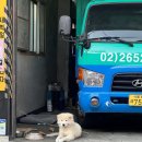 화곡로61길 이미지