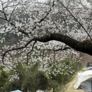 청려수련원 이미지