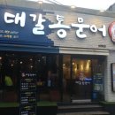 대갈통문어 이미지