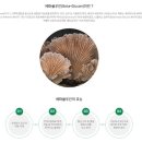 와이바이오텍 이미지