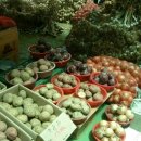 신토불이식품 이미지