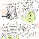뽀솜이