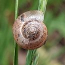 명주길가맥 이미지