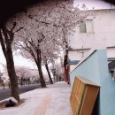 최무선로 이미지