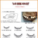 소나이