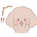 플로앤미