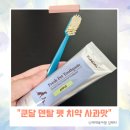미남클린 | 쿤달 덴탈 클린 프레쉬 가성비 강아지치약 추천 내돈내산 후기