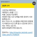 내돈내산 제주 렌트카 재방문 추천 후기 - 제주현대렌트카