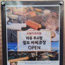 돼지블라썸 이미지