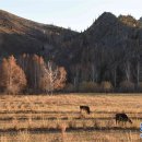 신화민박 이미지