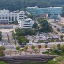 구리동물보호센터 이미지