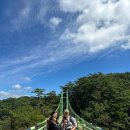 페플셔틀 타고 경북 봉화 &#34;청량산&#34; 등산한 후기 | 청량산 하늘다리 사진찍기!