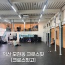 크로스핏고